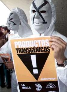 protesters against transgenic foods